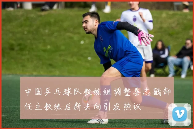 中国乒乓球队教练组调整秦志戬卸任主教练后新去向引发热议