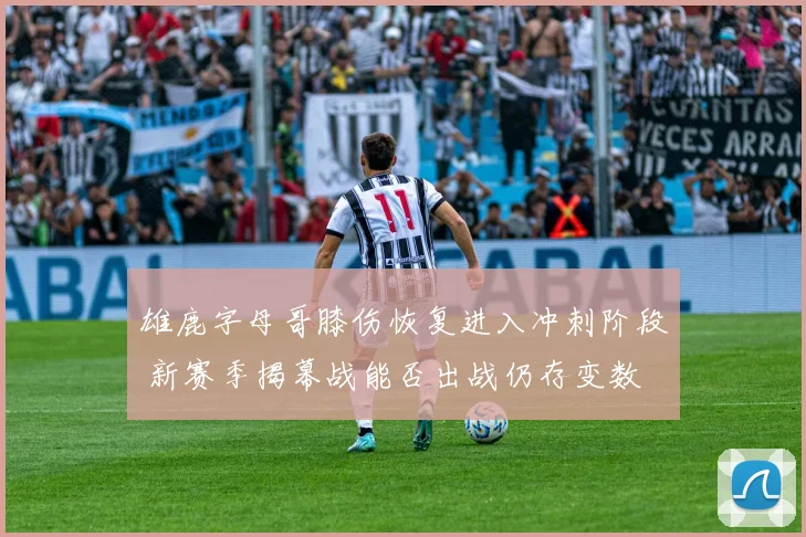 雄鹿字母哥膝伤恢复进入冲刺阶段 新赛季揭幕战能否出战仍存变数